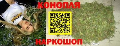 сатива Бердск