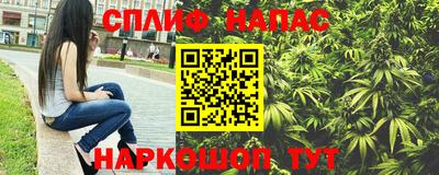 сатива Бердск