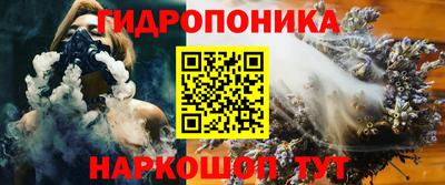сатива Бердск
