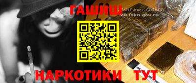 сатива Бердск