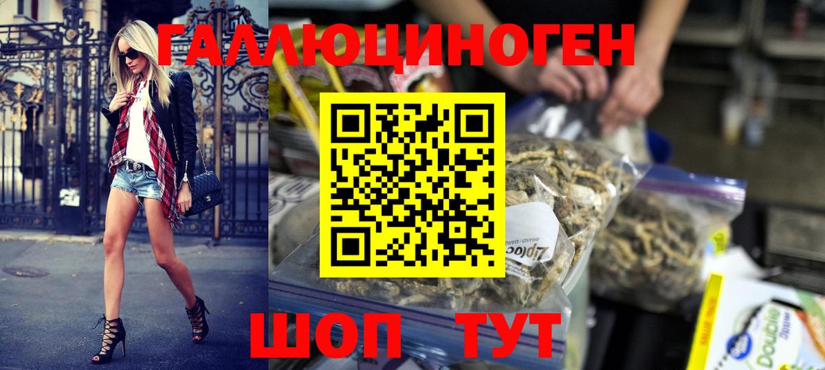 Псилоцибиновые грибы Psilocybe Алейск