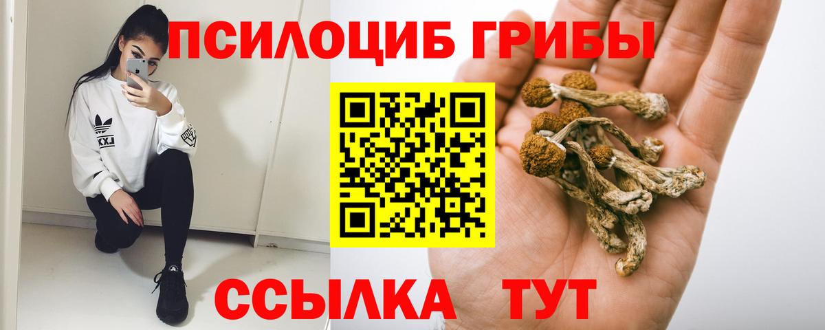 Псилоцибиновые грибы Psilocybe  Вход с VPN  Алейск 